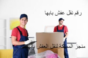 رقم شركة نقل عفش بابها